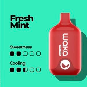 Waka Smash 6000 Puffs Disposable Vape Fresh Mint