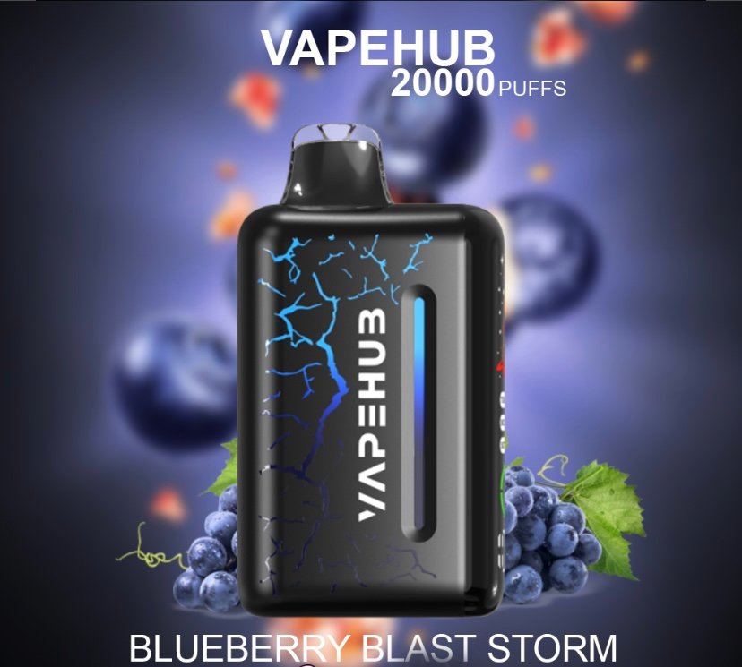VAPEHUB BLUEBERRY BLAST STORM – 20000 PUFFS